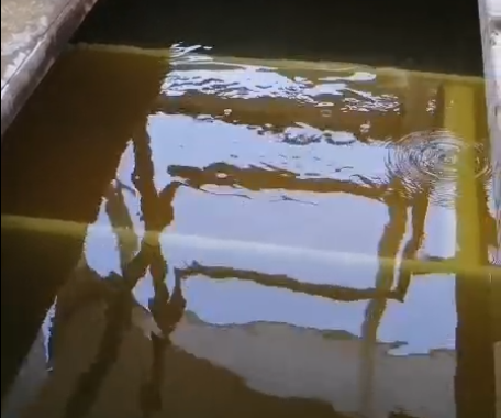 ˮس
